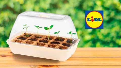 Lidl monta la fruter&iacute;a en tu cocina: mini invernadero para tomates, pepinos y pimientos por 7 euros