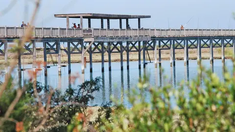 Parque de Los Toru&ntilde;os | viditandojardines.com