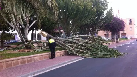 Alerta por mal tiempo en Almer&iacute;a, Granada y M&aacute;laga