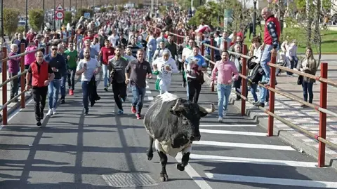 As&iacute; ser&aacute; el regreso de la fiesta del Toro Embolao a Los Barrios tras 2 a&ntilde;os de pandemia