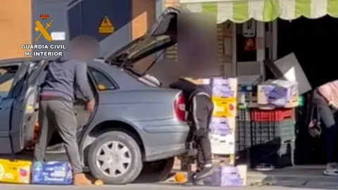 Roban m&aacute;s de 5.500 kilos de frutas en varias fincas de la provincia de Sevilla