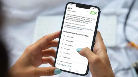 VOX lidera todas las b&uacute;squedas de partidos pol&iacute;ticos en Google