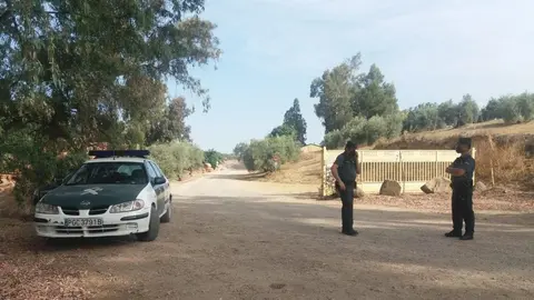 Un obrero queda sepultado por un talud de tierra en Tocina