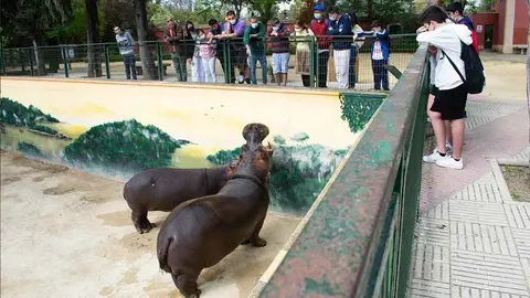 Alumnos en el Zoobot&aacute;nico de Jerez