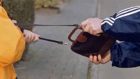 Una mujer de 70 a&ntilde;os se enfrenta en Sevilla a un 'tironero' con 51 detenciones previas