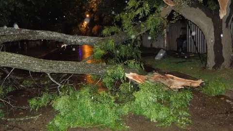El temporal de lluvia y viento causa estragos en C&aacute;diz, Jerez y C&oacute;rdoba (1)