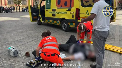 Cae al suelo desde su coche de caballos en Sevilla tras perder el control del carruaje