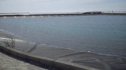 Tragedia en Almer&iacute;a. Muere un ni&ntilde;o de 9 a&ntilde;os ahogado en una balsa de agua en El Ejido