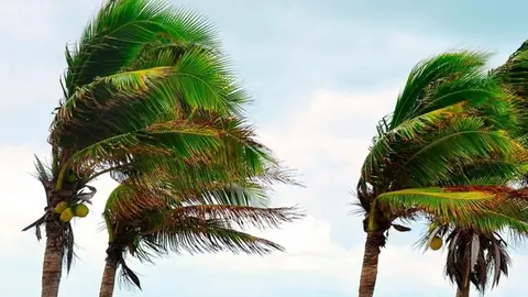 Estos son los d&iacute;as en los que habr&aacute; Levante en la provincia de C&aacute;diz