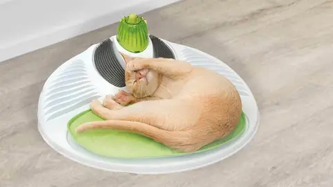 Spa (centro de bienestar) para gatos de Lidl