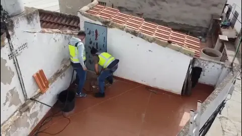 As&iacute; ha ca&iacute;do en Linares el clan de 'Los Alicantinos', una potente red de distribuci&oacute;n de droga