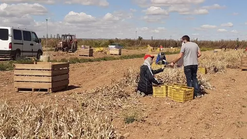 Trata miserable de seres humanos. As&iacute; explotaba a sus trabajadores una red asentada en C&oacute;rdoba