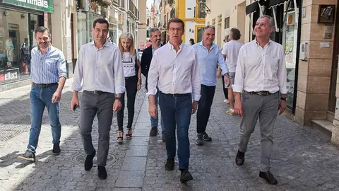Juanma Moreno, N&uacute;&ntilde;ez Feijo y Jos&eacute; Luis Sanz en el centro de Sevilla