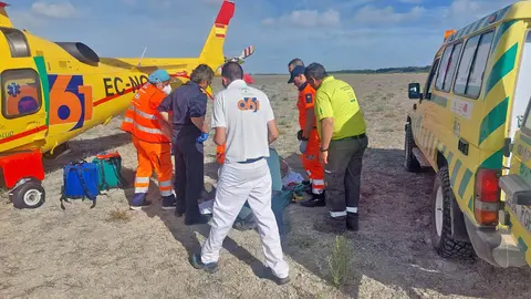 Un tractor atropella a un romero de la Hermandad del Roc&iacute;o de Jerez en Almonte