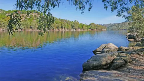 Bosque mediterr&aacute;neo en la Sierra de And&uacute;jar