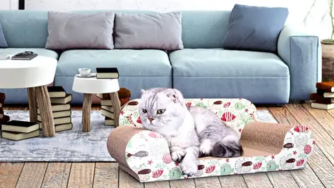 El sof&aacute; n&uacute;mero 1 en pedidos de Amazon no es para personas: pero evita ara&ntilde;azos en el tuyo