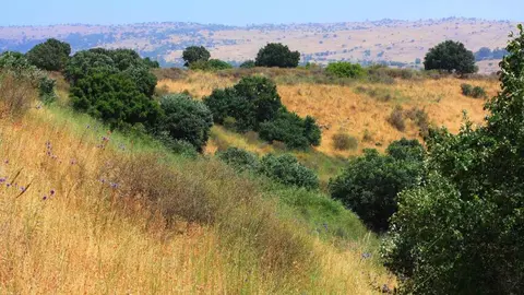 Un barranco en una foto de archivo