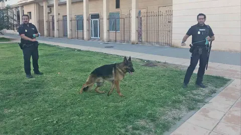Una ni&ntilde;a herida tras ser atacada por un pastor alem&aacute;n en Jerez (2)