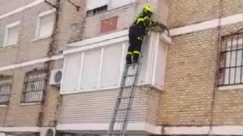 Rescate a un gato desde una cornisa