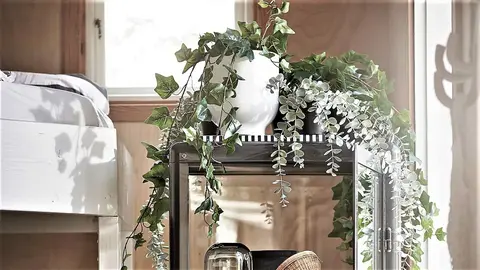 Ikea enga&ntilde;a a todos con la planta de eucalipto que cuelga de la maceta y cuesta solo 5 euros