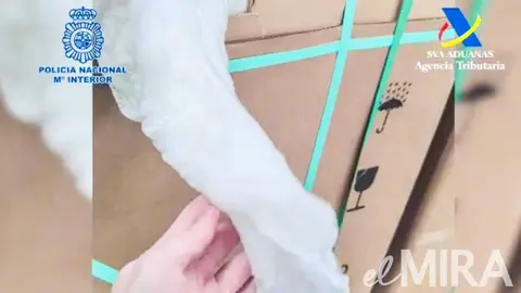 M&aacute;s de 15 millones de cigarrillos intervenidos en una f&aacute;brica ilegal de tabaco