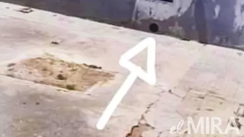 Plaga de pulgas en un bloque de San Benito en Jerez