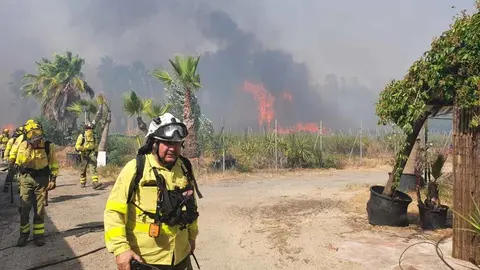 Bomberos actuando en el incendio de La Cartuja en Jerez