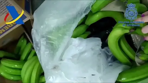 As&iacute; intervienen un gran cargamento de droga oculta entre hortalizas en un cami&oacute;n de Almer&iacute;a