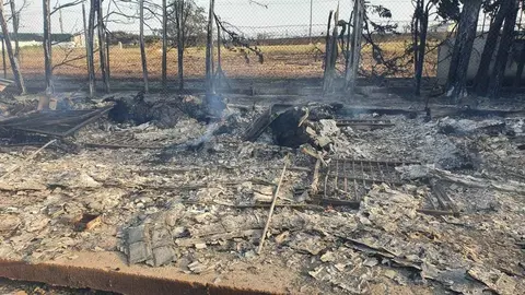 Rastros calcinados en el incendio en Jerez | Jes&uacute;s Catal&aacute;n para elMIRA.es