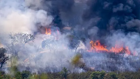 Este es el avance del incendio de Mijas. Efectivos sigue trabajando sobre el fuego