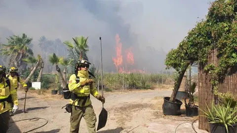 Bomberos de Jerez actuando en el incendio | Jes&uacute;s Catal&aacute;n para elMIRA.es