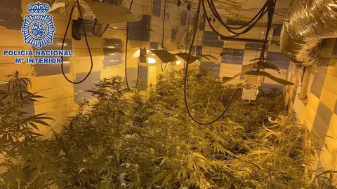 As&iacute; convierte su vivienda de Linares (Ja&eacute;n) en un aut&eacute;ntico laboratorio de droga