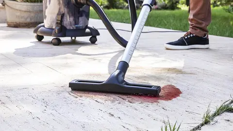 Carrefour rebaja la aspiradora Conga que se traga s&oacute;lidos y l&iacute;quidos como si nada