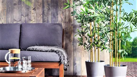 3 plantas altas que dan toque verde a cualquier rinc&oacute;n de tu casa y encuentras en Ikea