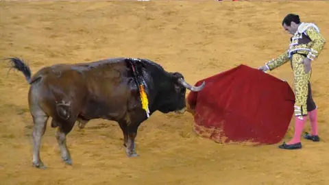 Juan Ortega en El Puerto de Santa Mar&iacute;a |Foto:  Marciano Bre&ntilde;a