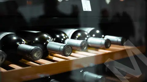 Lidl tira por el suelo el precio del imprescindible complemento para wine lovers