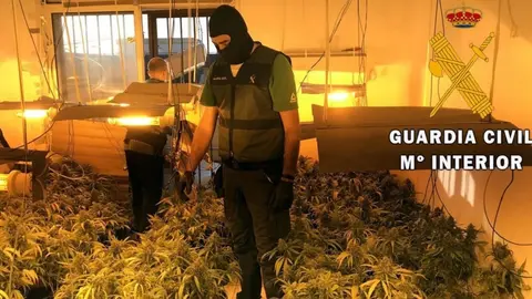 Tr&aacute;fico de marihuana en Roquetas. M&aacute;s de 80 enganches fraudulentos a la red en una sola calle