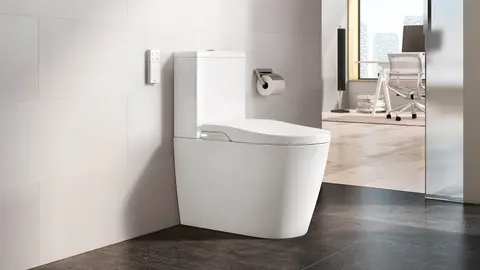 Roca la l&iacute;a en Leroy Merlin con un inodoro con cisterna en la propia taza, luz y mando a distancia