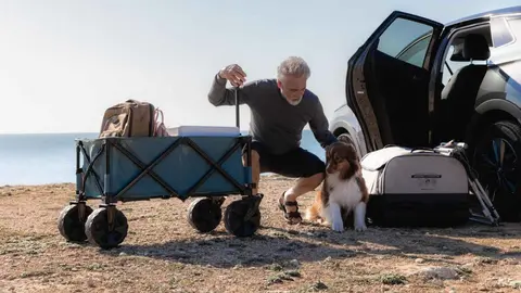 Carro plegable todoterreno para transporte de Decathlon