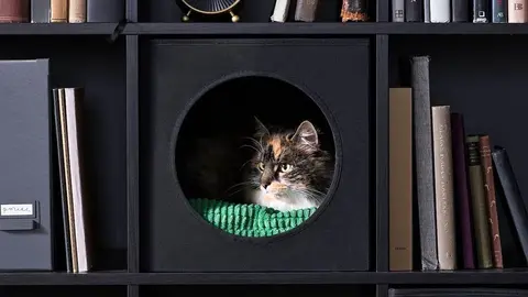 Ikea todo lo mete en la estanter&iacute;a: hasta la casa del gato tiene cabida