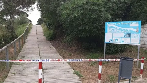 Cae un pino sobre la terraza de un bar lleno de personas en Cartaya (Huelva)