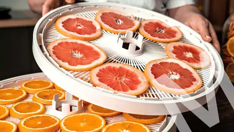 Este electrodom&eacute;stico de Amazon conserva la fruta m&aacute;s tiempo deshidratando los alimentos