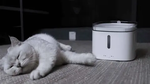 Xiaomi Smart Pet Fountain