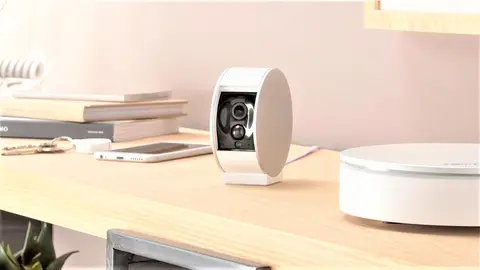 Leroy Merl&iacute;n tiene las mejores c&aacute;maras para la casa: Tu mascota siempre vigilada