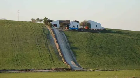 Vi&ntilde;edo de 37 hect&aacute;reas en la campi&ntilde;a de Jerez