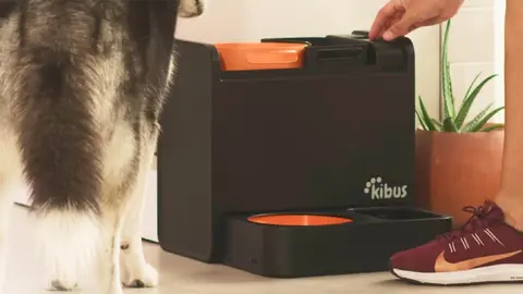 Kibus es la startup espa&ntilde;ola del a&ntilde;o en los premios Innovation Awards 2022 de Amazon