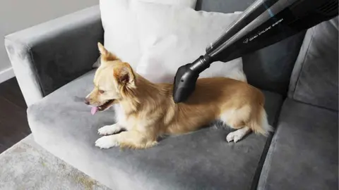 Aspirador de mano - Cecotec Conga Immortal ExtremeSuction Hand