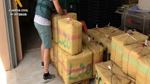 As&iacute; preparaban el hach&iacute;s en una finca de El Ejido para distribuirlo por otras provincias