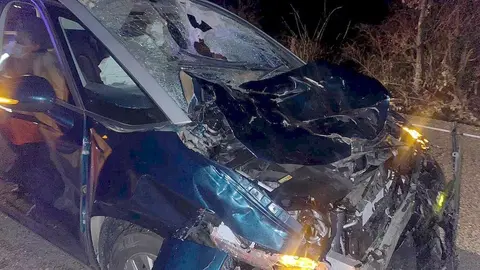 As&iacute; han sido los accidentes provocados por una vaca en la autov&iacute;a A-92 en Archidona (M&aacute;laga)