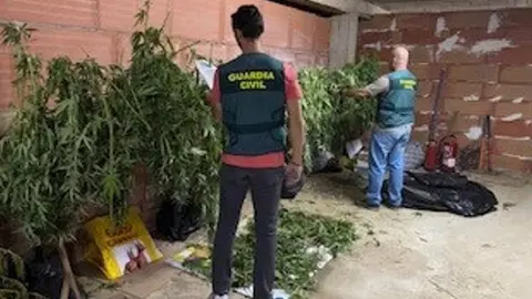 As&iacute; cultiva marihuana en el patio de una casa en Villanueva de la Reina (Ja&eacute;n)